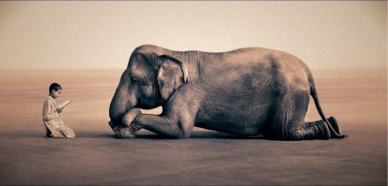 The master of art and nature:Gregory Colbert | vquirosu